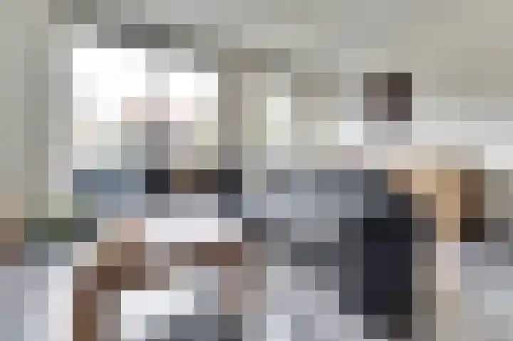 Burg. Moonshof 8 Raamsdonk thumbnail 13