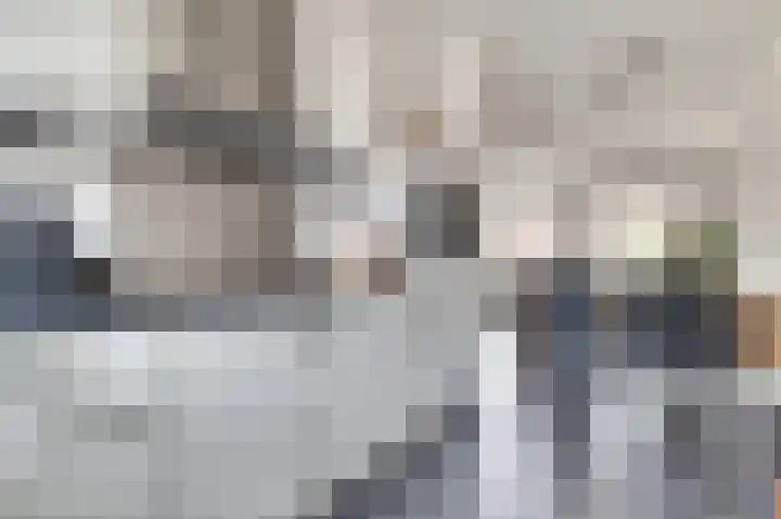 Burg. Moonshof 8 Raamsdonk thumbnail 19