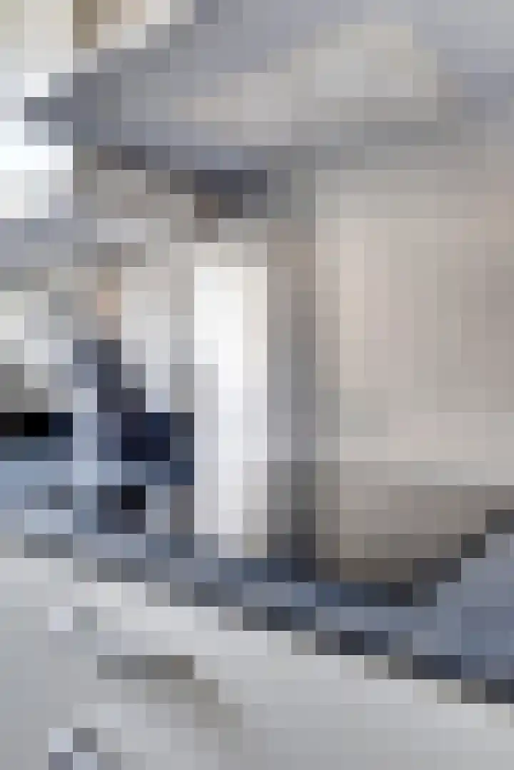 Burg. Moonshof 8 Raamsdonk thumbnail 23