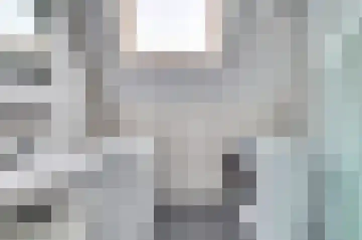 Burg. Moonshof 8 Raamsdonk thumbnail 31