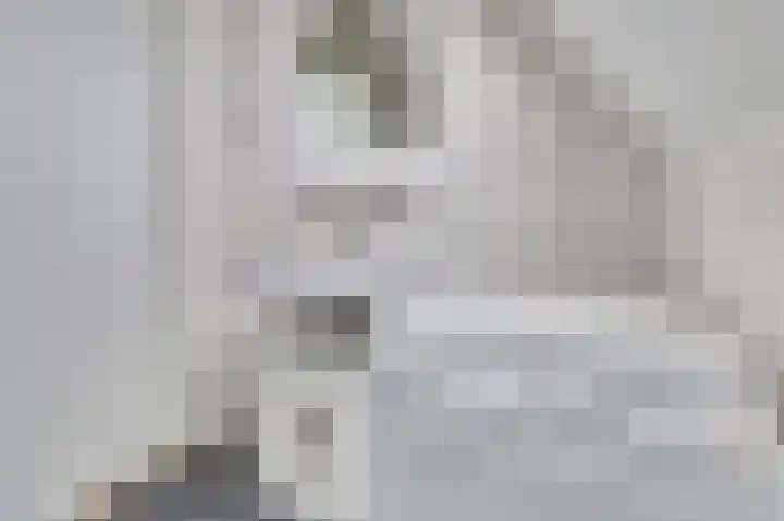 Burg. Moonshof 8 Raamsdonk thumbnail 33