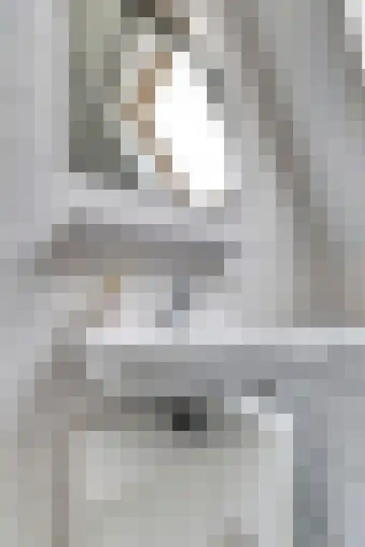 Burg. Moonshof 8 Raamsdonk thumbnail 34