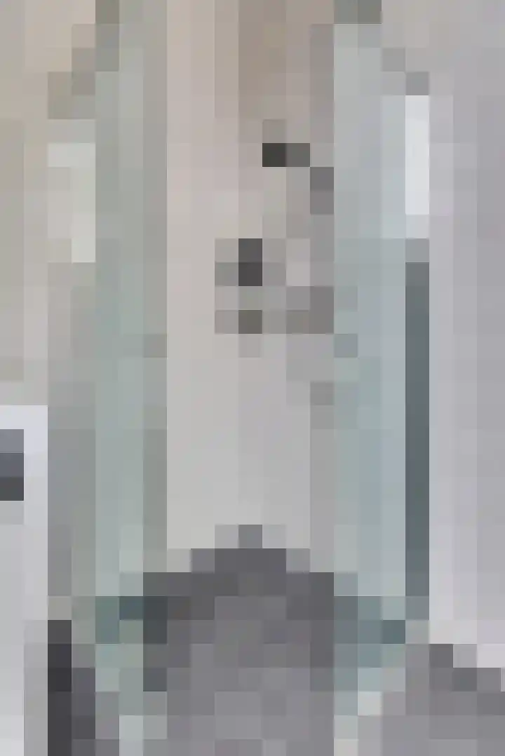 Burg. Moonshof 8 Raamsdonk thumbnail 35