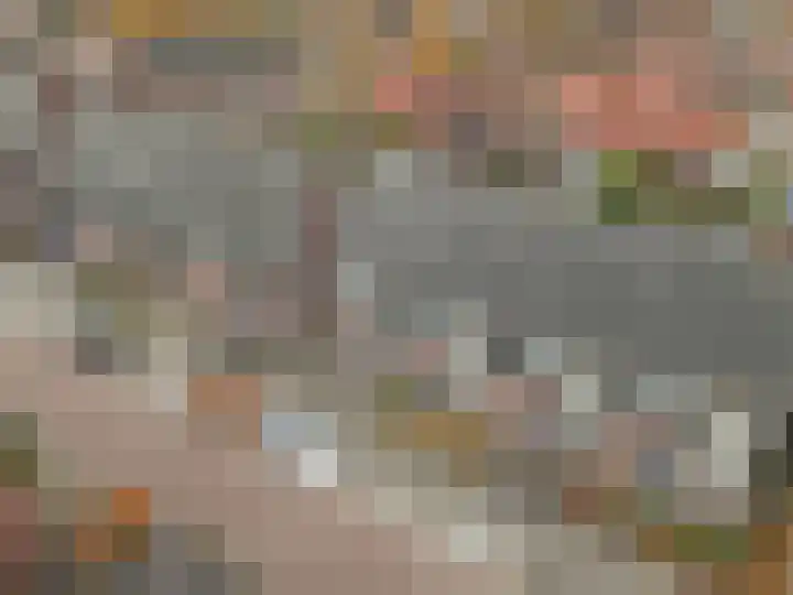 Burg. Moonshof 8 Raamsdonk thumbnail 41