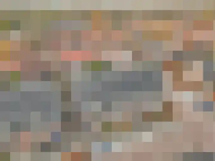 Burg. Moonshof 8 Raamsdonk thumbnail 43