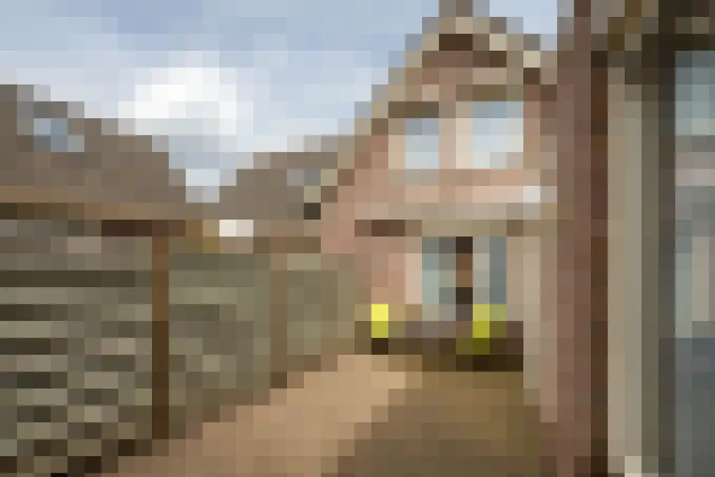 Burg Moorsstraat 1 Hoogerheide thumbnail 27