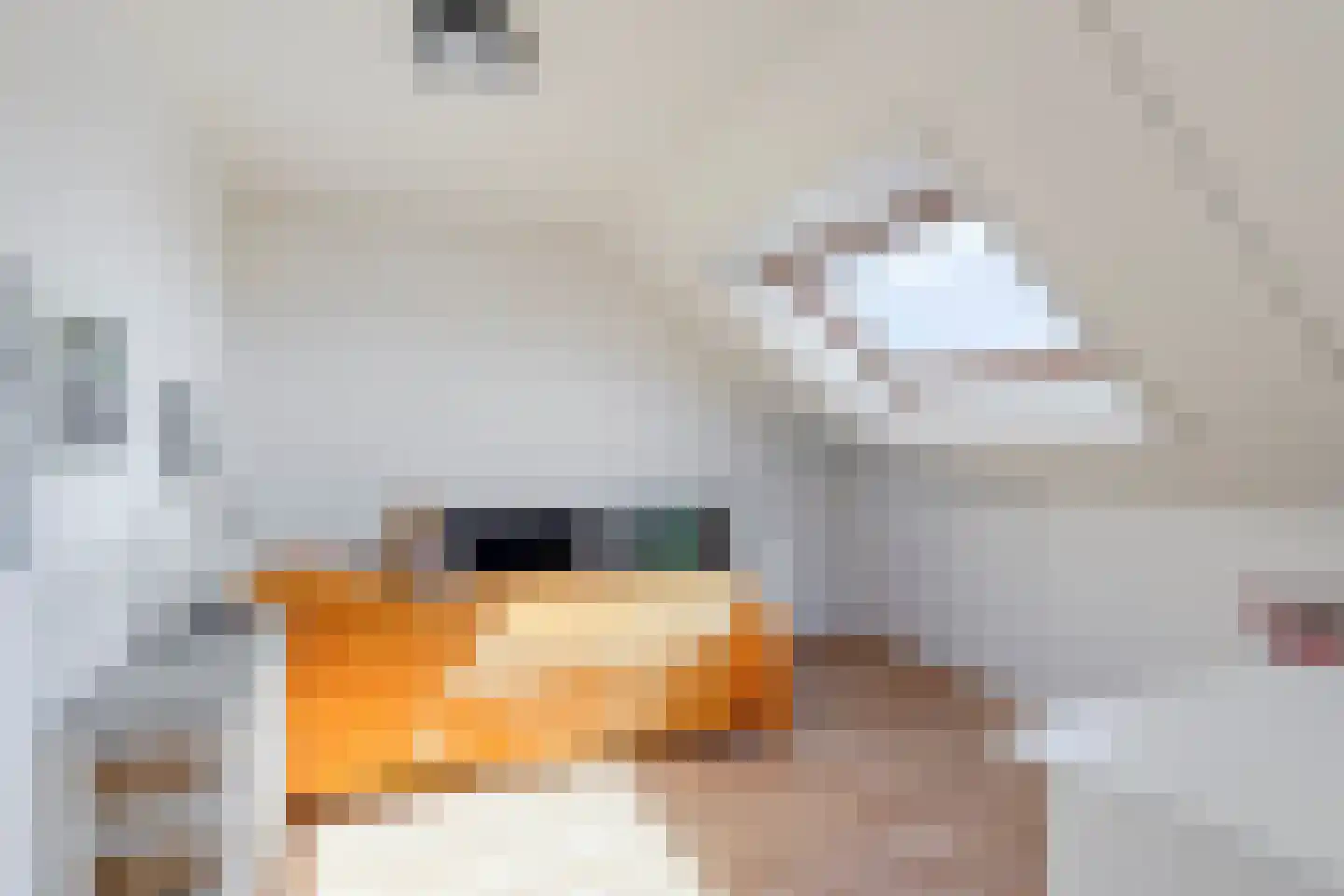 Burg. Mr. H. Popstraat 22 Dinteloord thumbnail 20