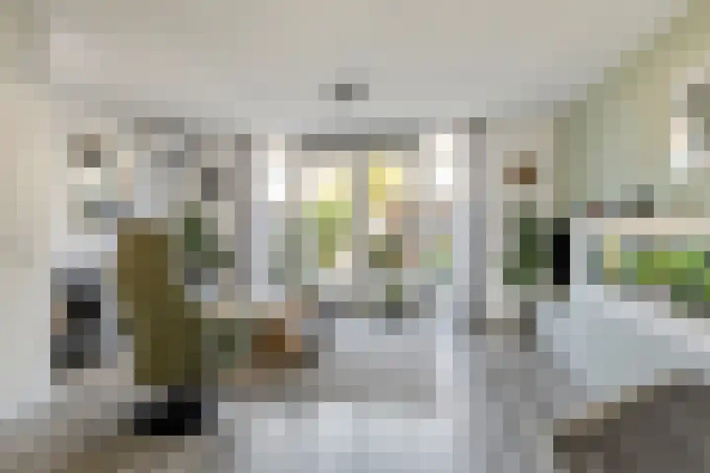 Burg. Mr. H. Popstraat 22 Dinteloord thumbnail 5