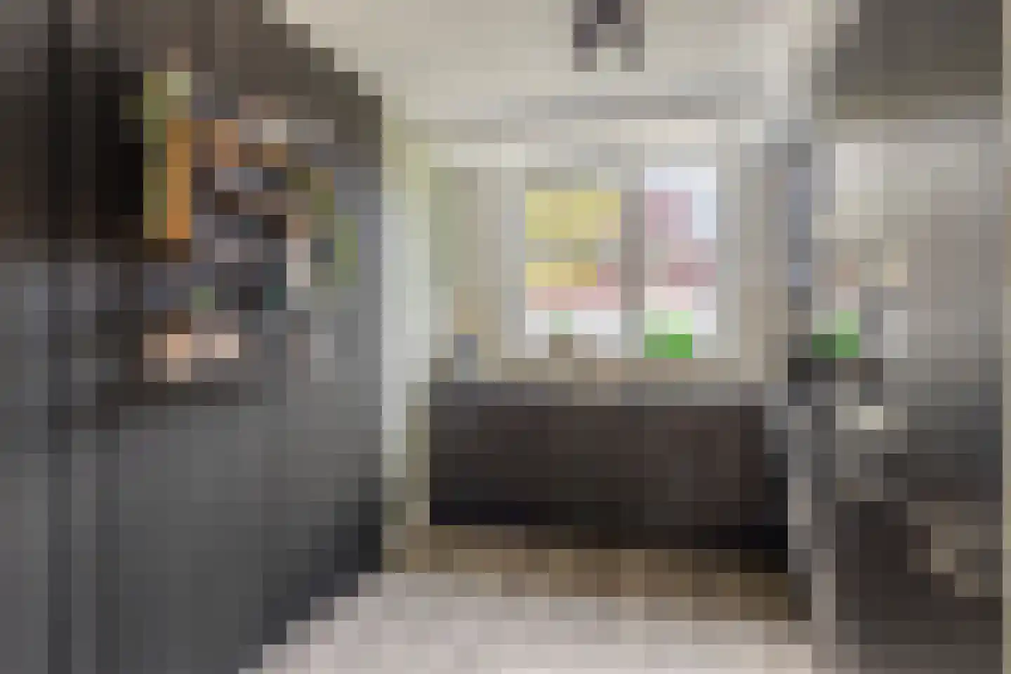 Burg. Mr. H. Popstraat 22 Dinteloord thumbnail 7