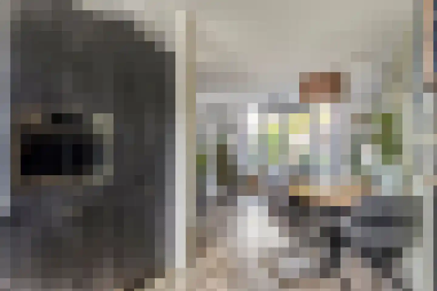 Burg. Mr. H. Popstraat 22 Dinteloord thumbnail 9