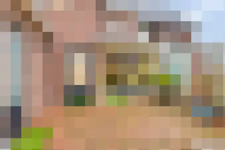 Burg Mr Verbeekstraat 22 Dinxperlo thumbnail 43