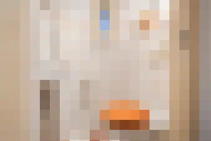 Burg Mr Verbeekstraat 22 Dinxperlo thumbnail 8
