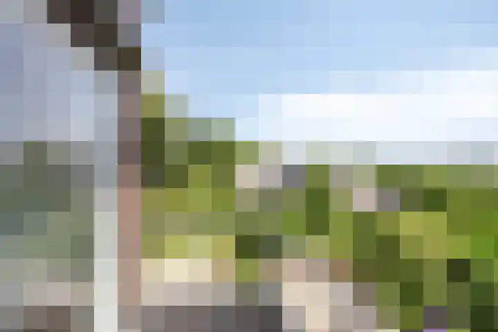 Burg. Mr W.J.Merckelbachlaan 1 Epen thumbnail 17