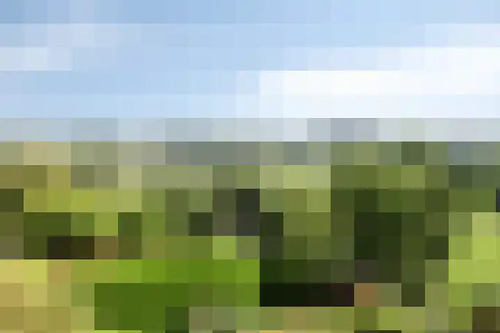 Burg. Mr W.J.Merckelbachlaan 1 Epen thumbnail 18