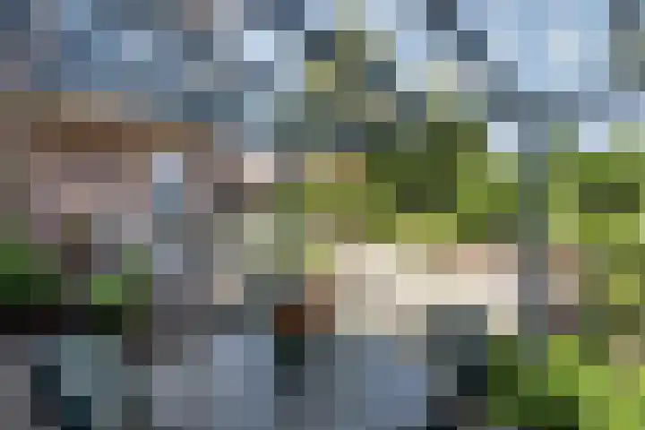 Burg. Mr W.J.Merckelbachlaan 1 Epen thumbnail 20