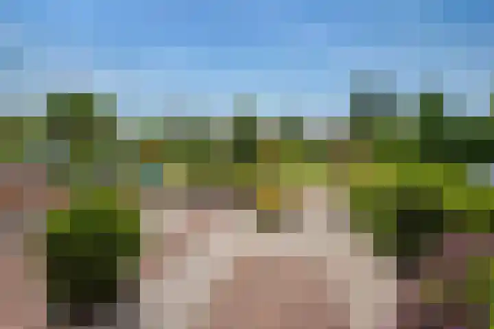 Burg Musquetiersingel 18 Schipluiden thumbnail 10