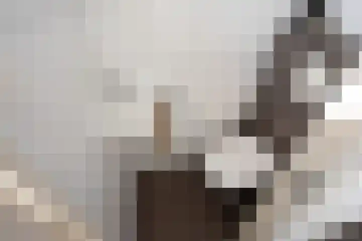 Burg Musquetiersingel 18 Schipluiden thumbnail 12