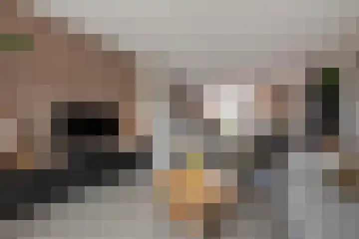 Burg Musquetiersingel 18 Schipluiden thumbnail 15