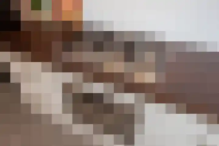 Burg Musquetiersingel 18 Schipluiden thumbnail 20