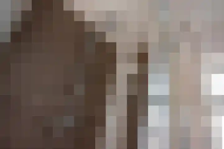Burg Musquetiersingel 18 Schipluiden thumbnail 26