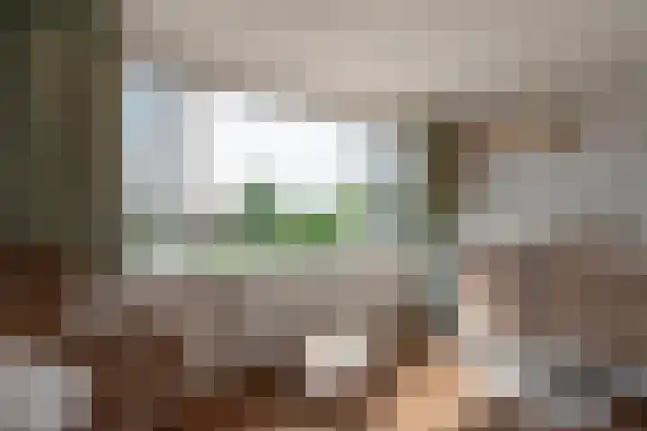 Burg Musquetiersingel 18 Schipluiden thumbnail 37
