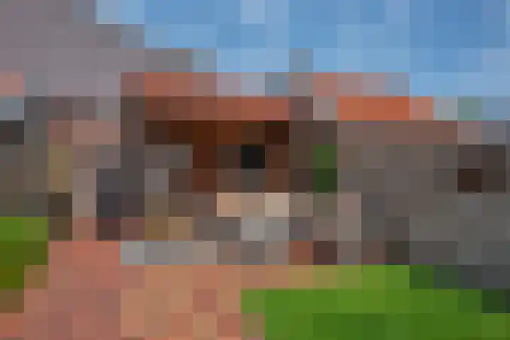 Burg Musquetiersingel 18 Schipluiden thumbnail 41
