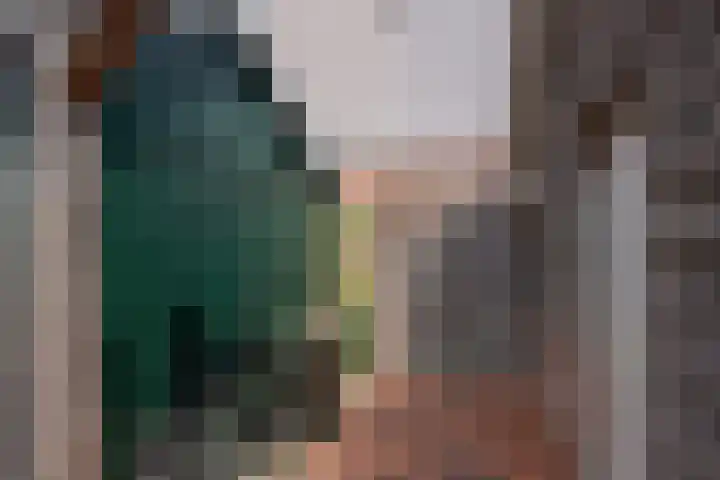 Burg Musquetiersingel 18 Schipluiden thumbnail 42