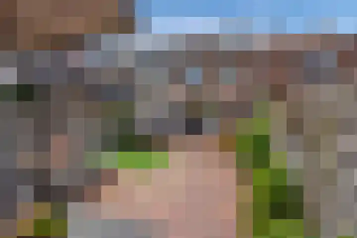 Burg Musquetiersingel 18 Schipluiden thumbnail 5