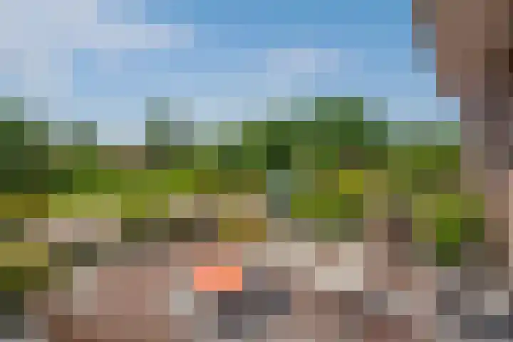 Burg Musquetiersingel 18 Schipluiden thumbnail 9