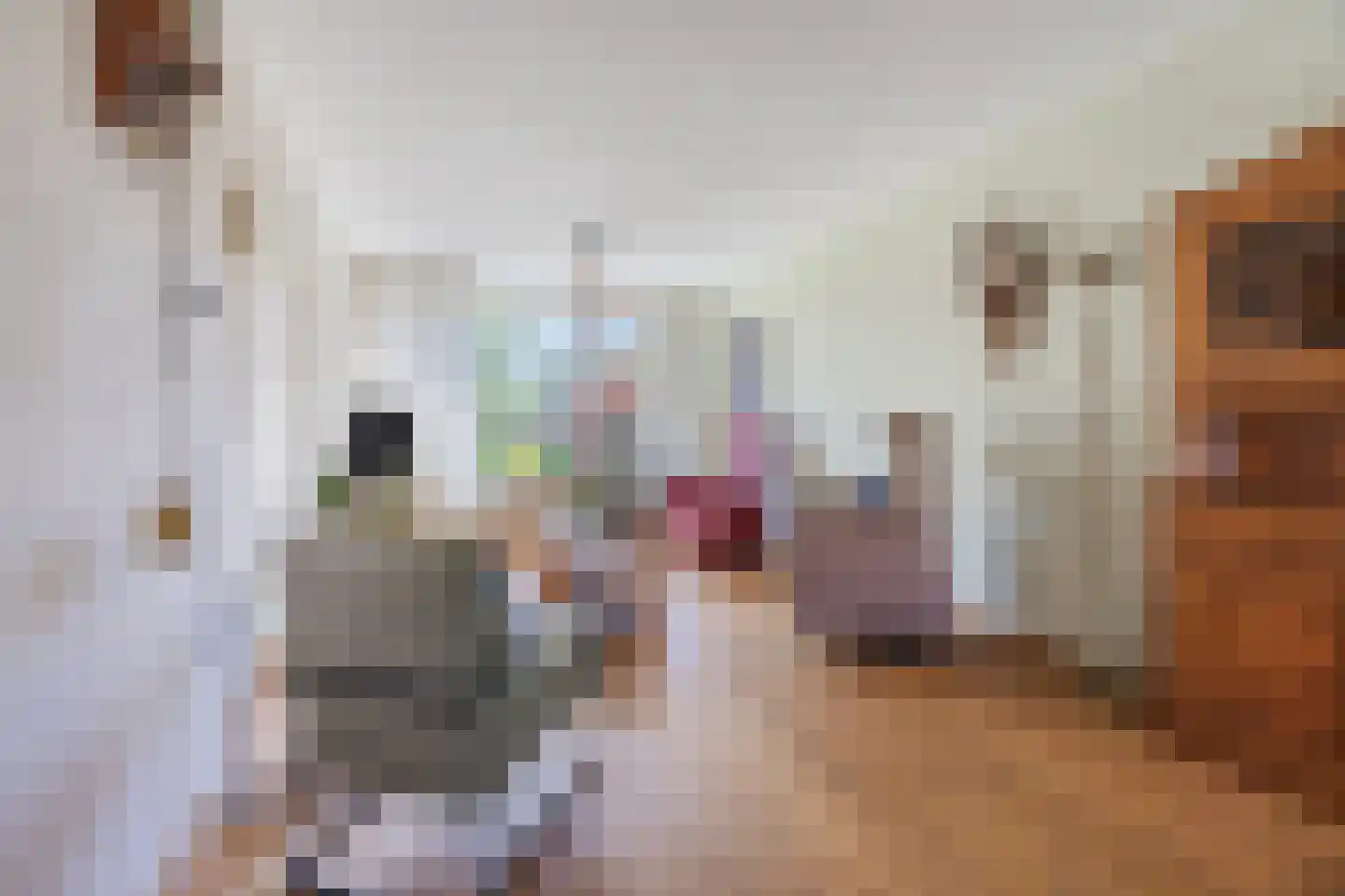 Burg Musquetiersingel 46 Schipluiden thumbnail 10