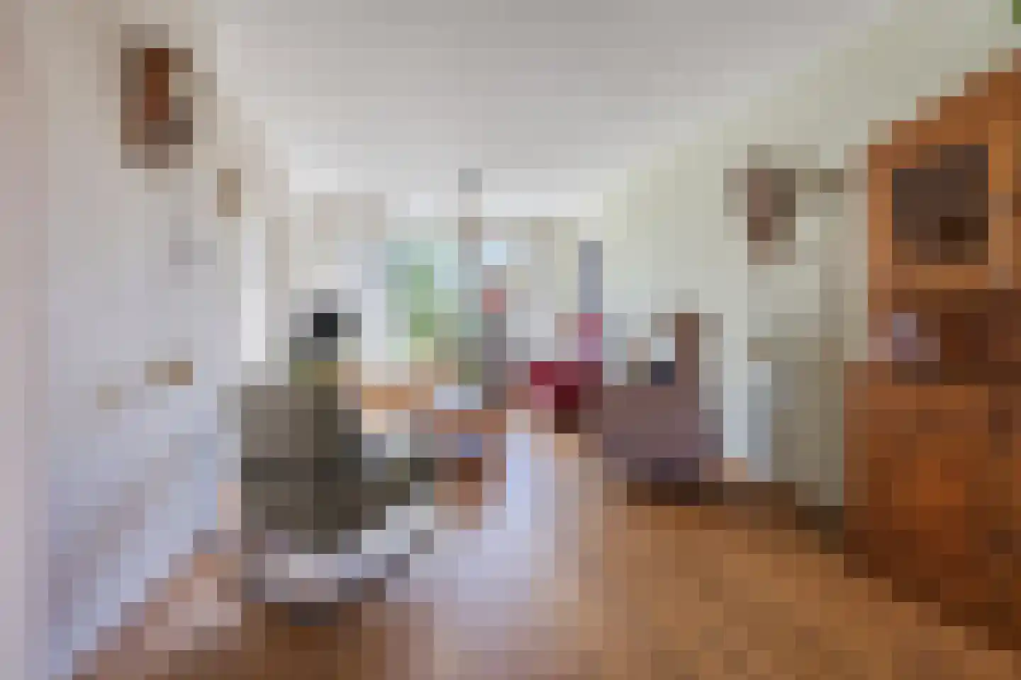 Burg Musquetiersingel 46 Schipluiden thumbnail 11