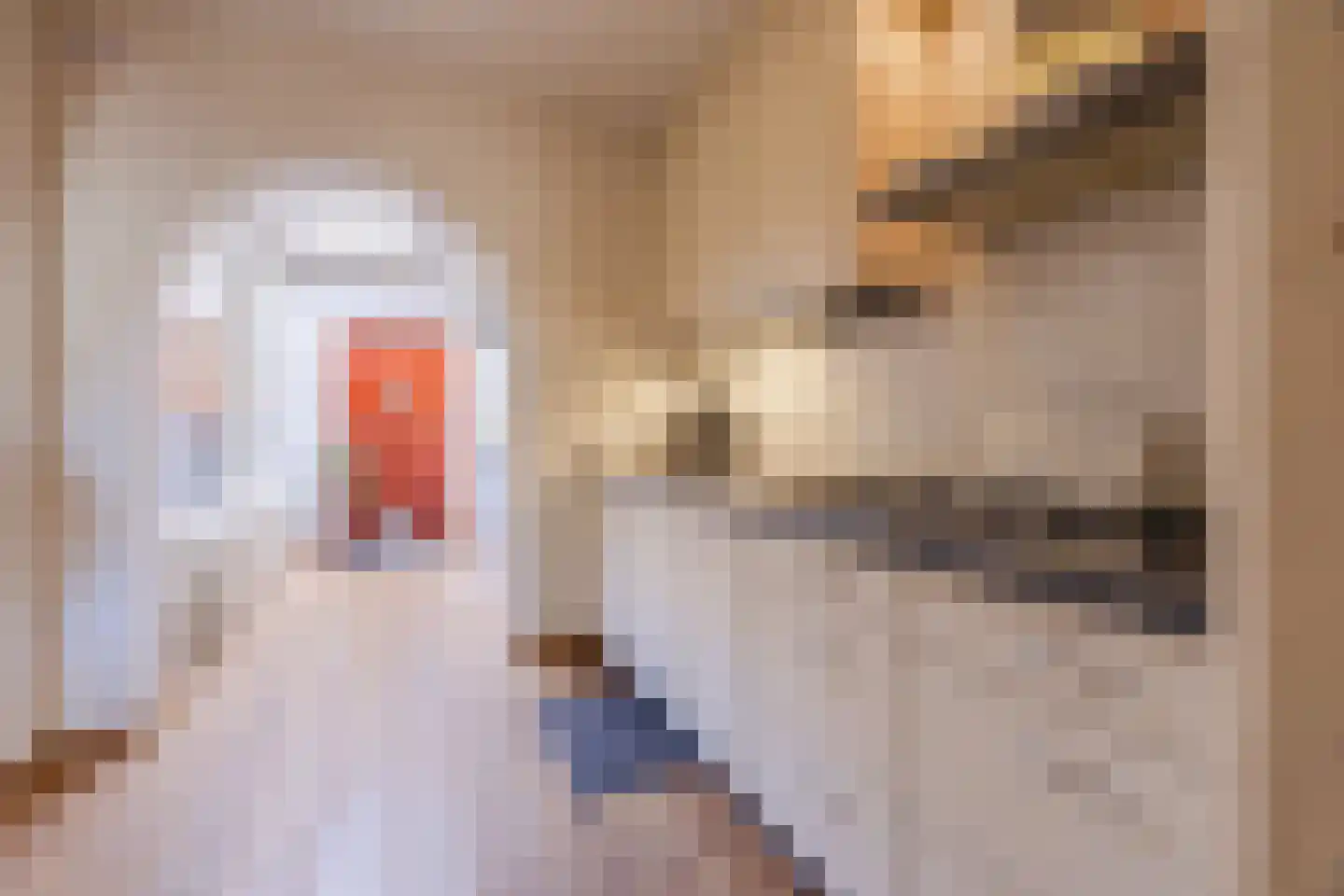 Burg Musquetiersingel 46 Schipluiden thumbnail 19