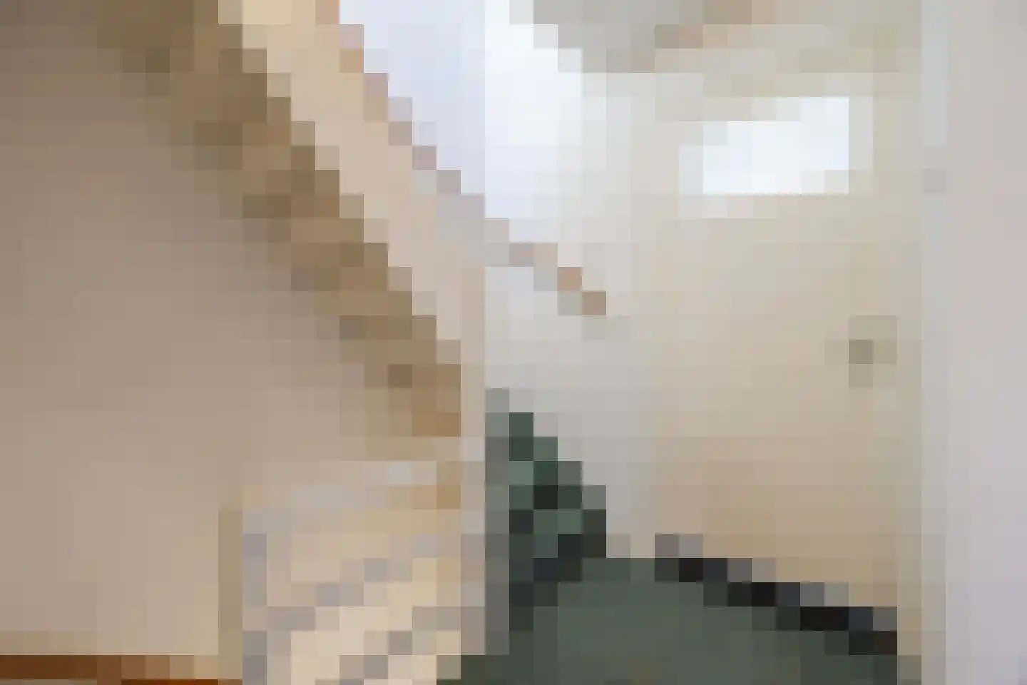 Burg Musquetiersingel 46 Schipluiden thumbnail 26