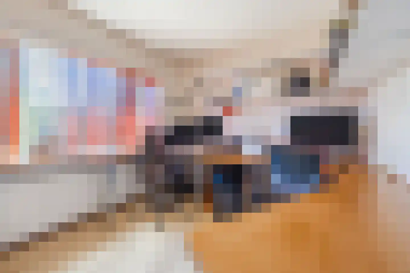 Burg Musquetiersingel 46 Schipluiden thumbnail 30