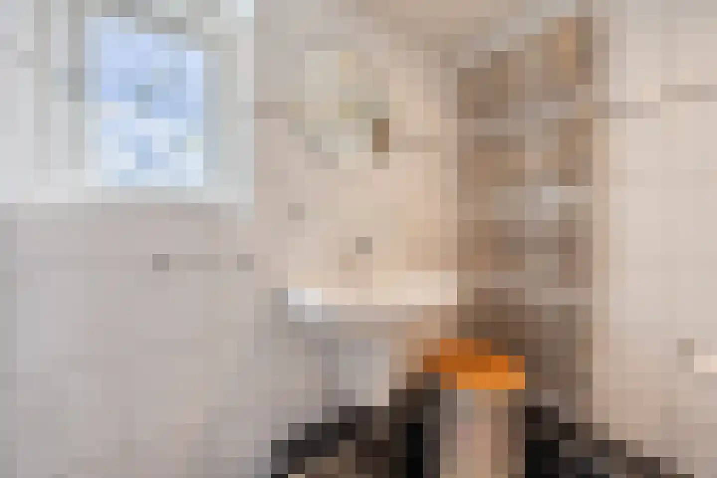 Burg Musquetiersingel 46 Schipluiden thumbnail 35