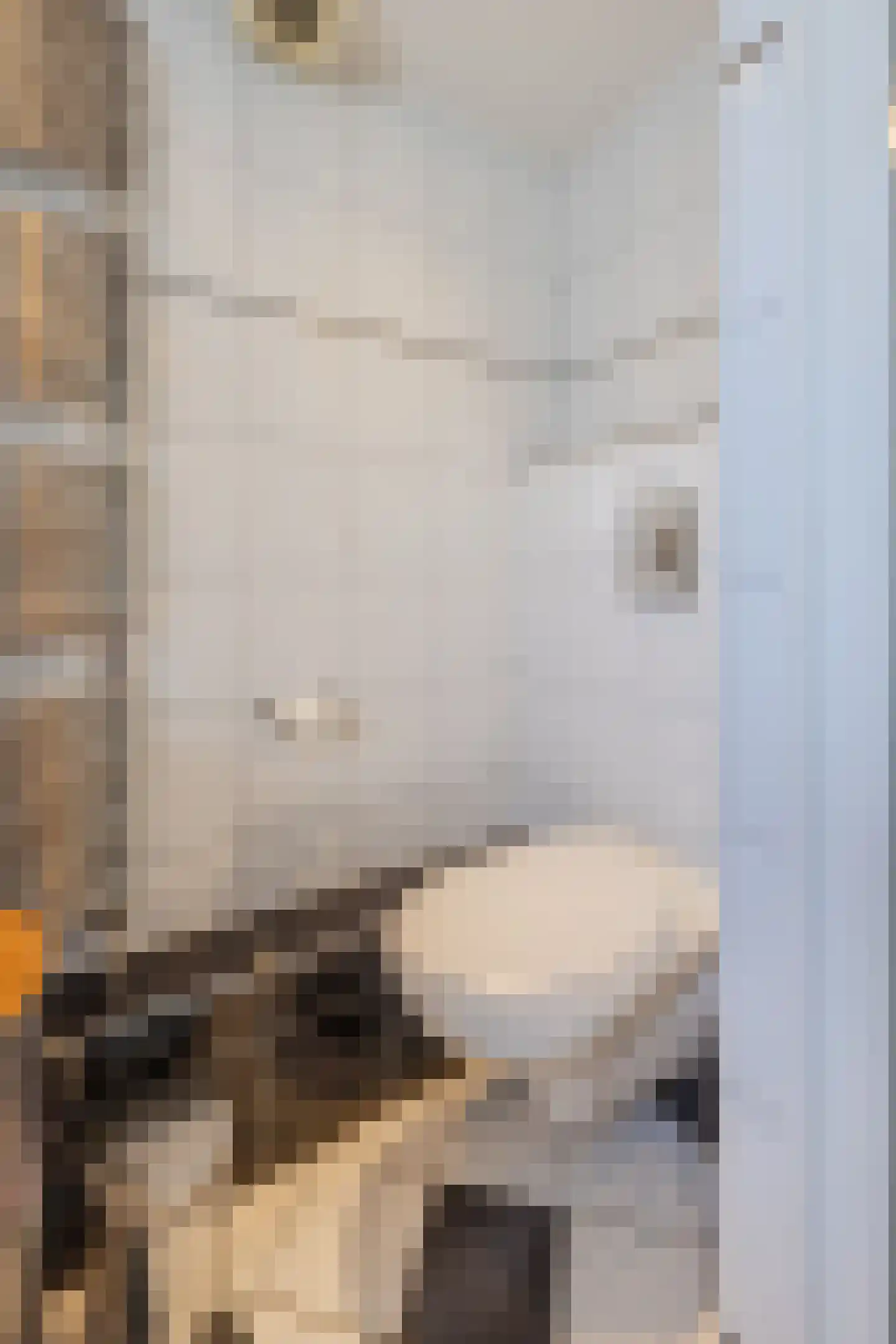 Burg Musquetiersingel 46 Schipluiden thumbnail 37