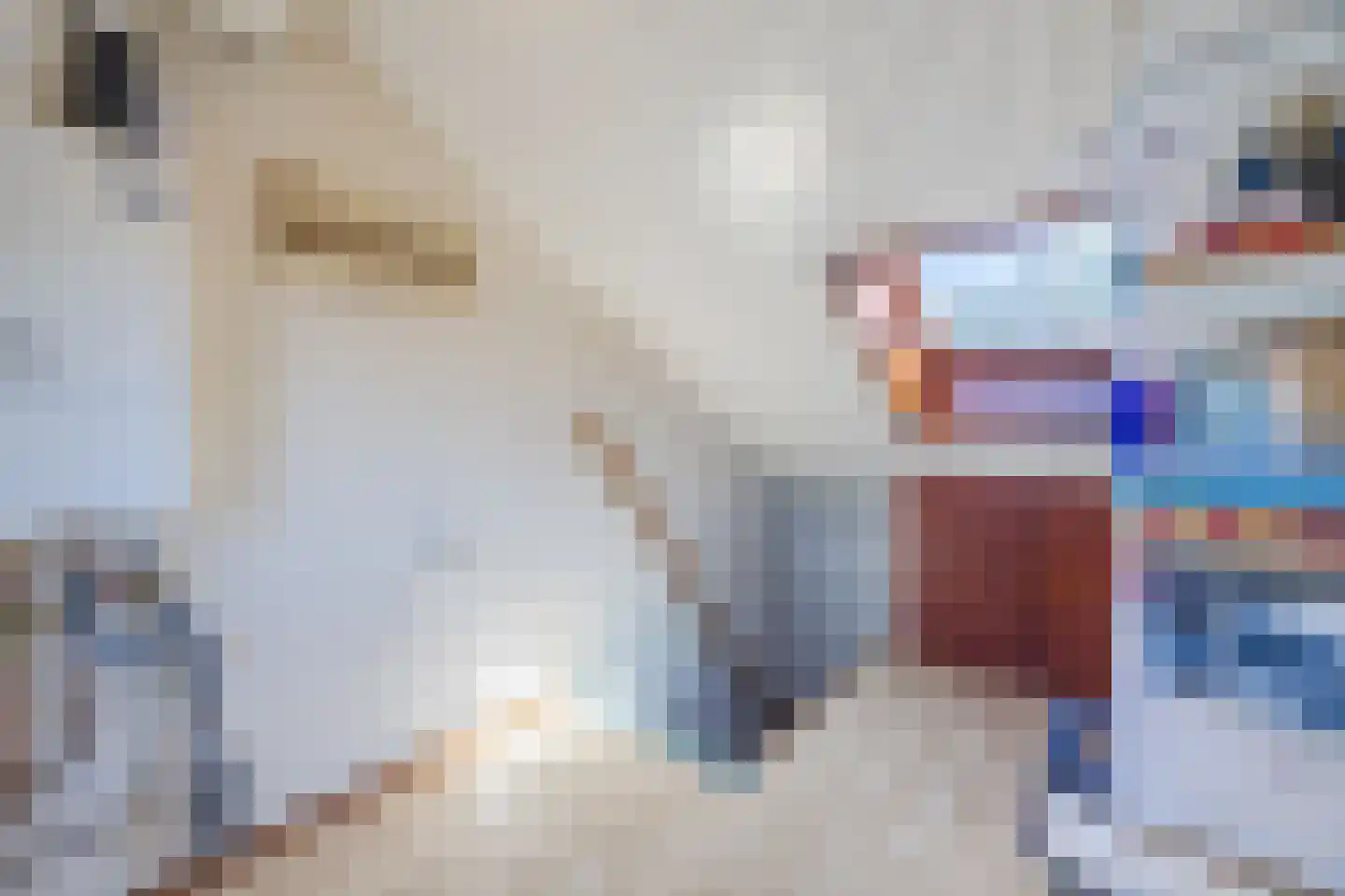 Burg Musquetiersingel 46 Schipluiden thumbnail 38