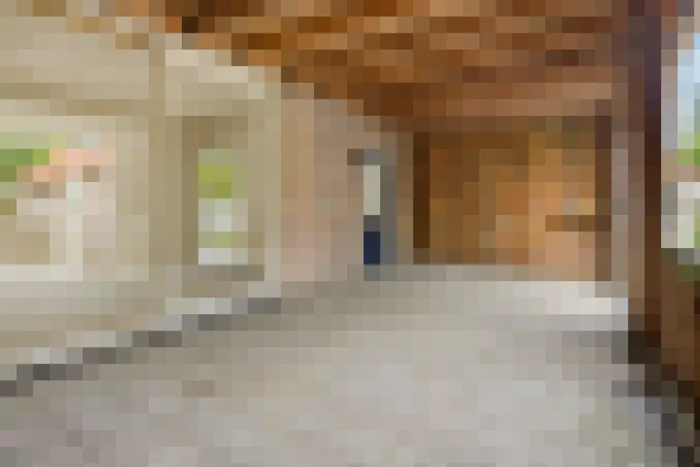 Burg. Nieuwenhuijzenstraat 53 Rosmalen thumbnail 15