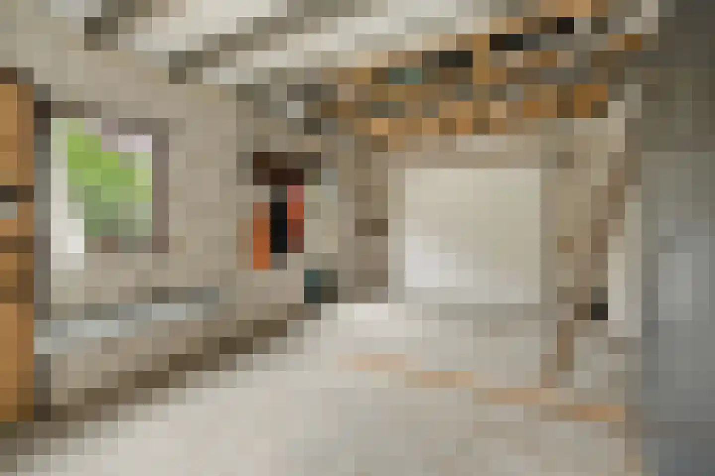 Burg. Nieuwenhuijzenstraat 53 Rosmalen thumbnail 18