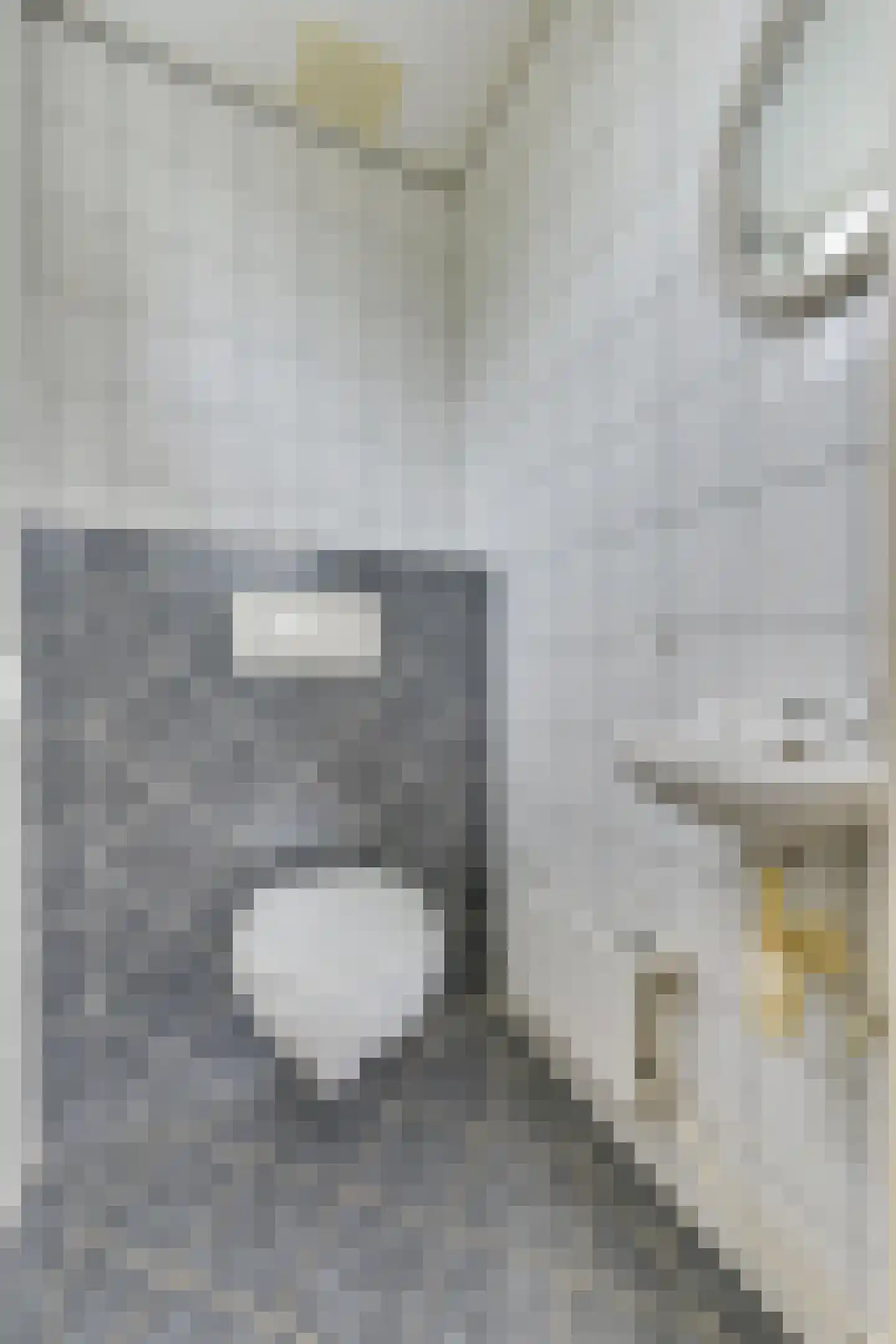 Burg. Noletstraat 4 Warmenhuizen thumbnail 22