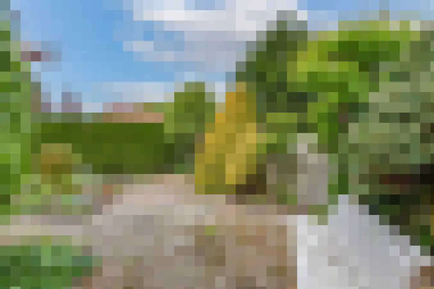 Burg. Noletstraat 4 Warmenhuizen thumbnail 50