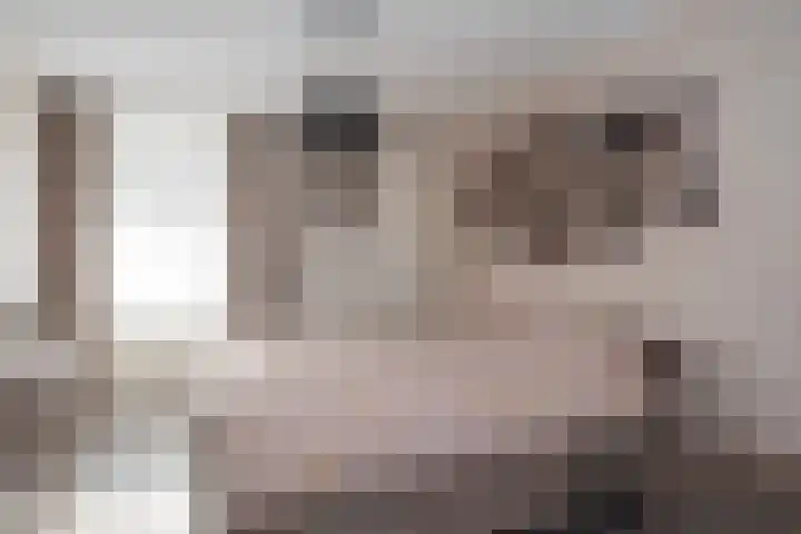 Burg. Onlandstraat 2 Born thumbnail 29