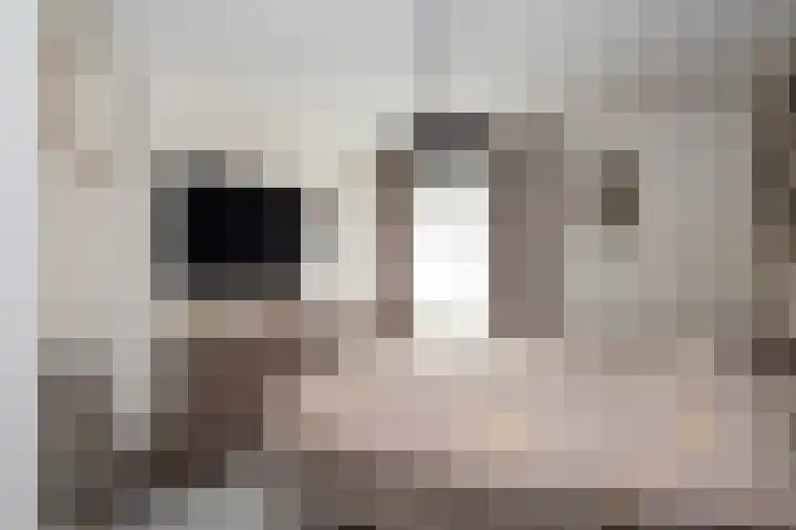 Burg. Onlandstraat 2 Born thumbnail 30