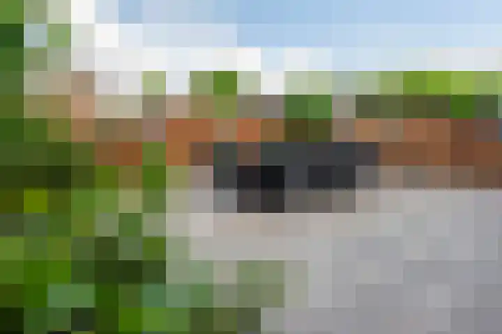 Burg. Onlandstraat 2 Born thumbnail 5