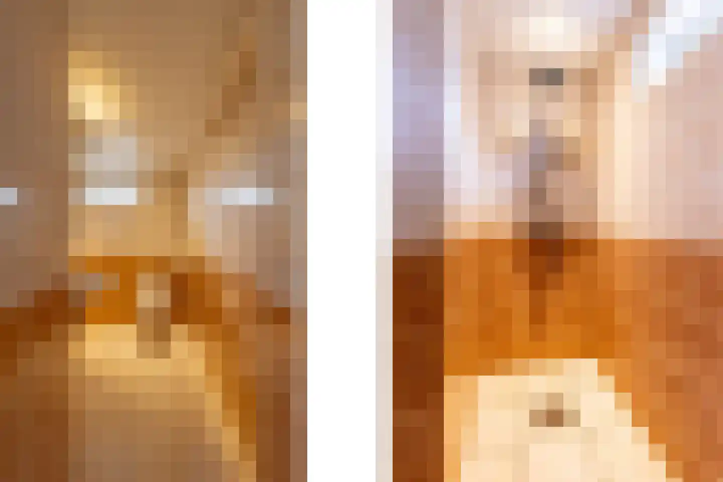 Burg. P.J. Hemmingalaan 9 Bathmen thumbnail 21