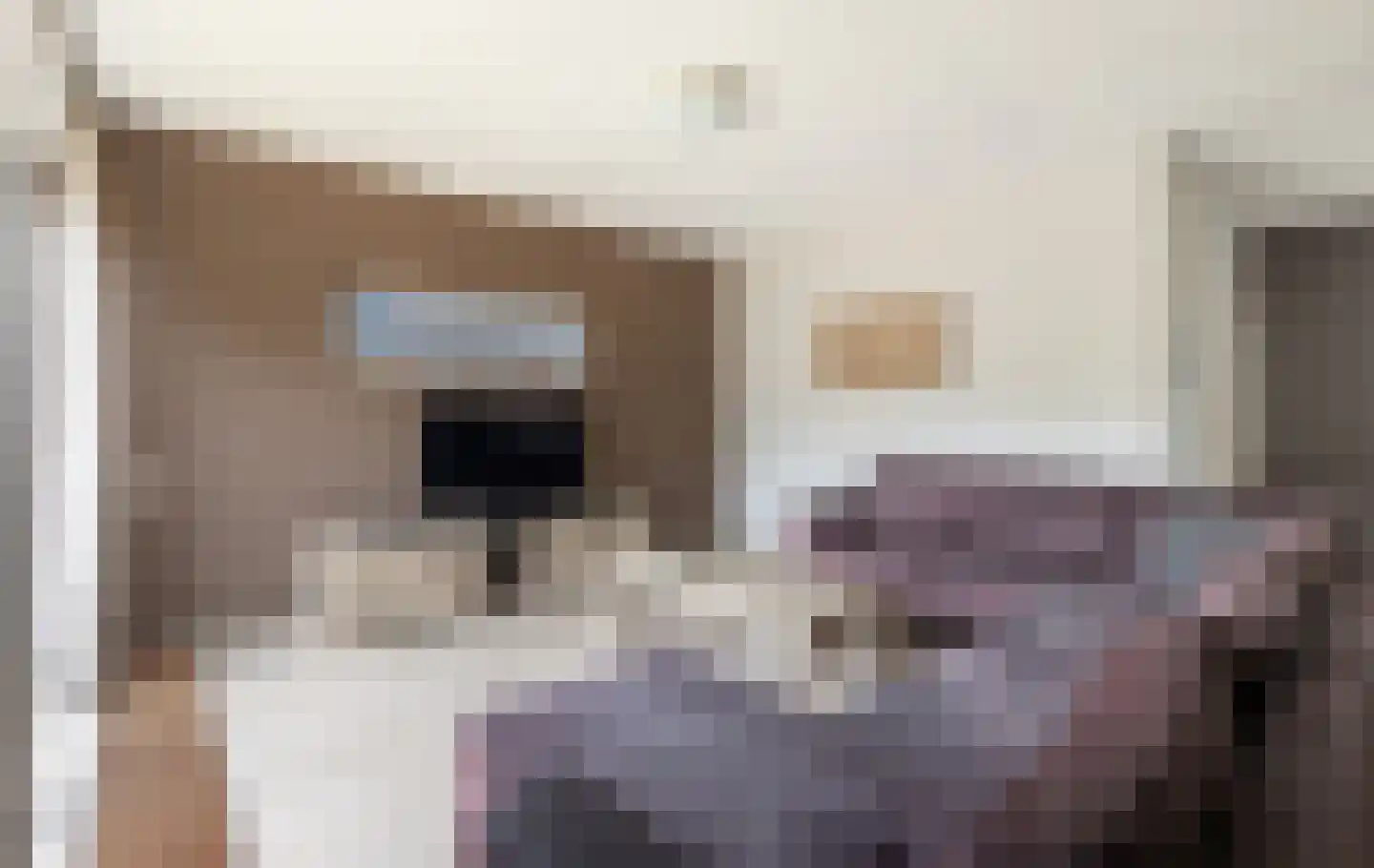 Burg. P.J. Hemmingalaan 9 Bathmen thumbnail 5
