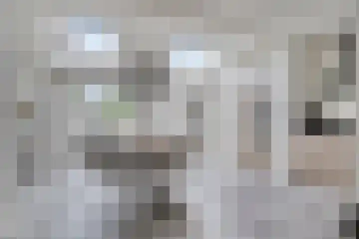 Burg. Panisstraat 15 Haaren thumbnail 11