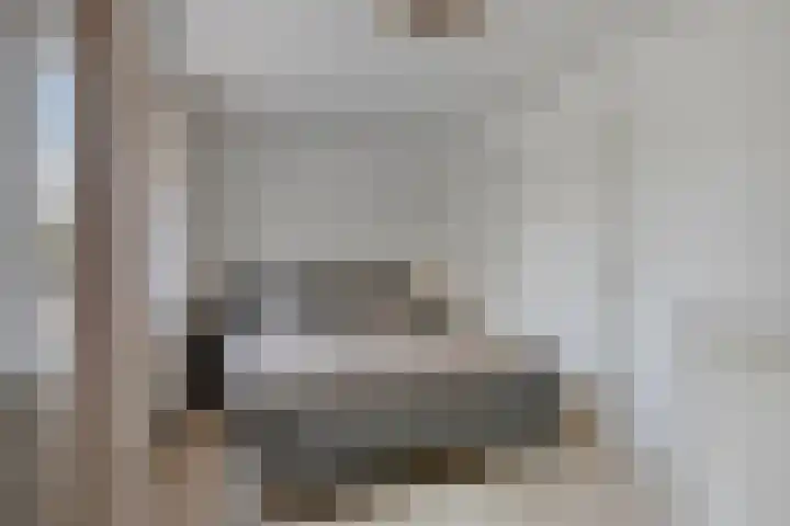 Burg. Panisstraat 15 Haaren thumbnail 24