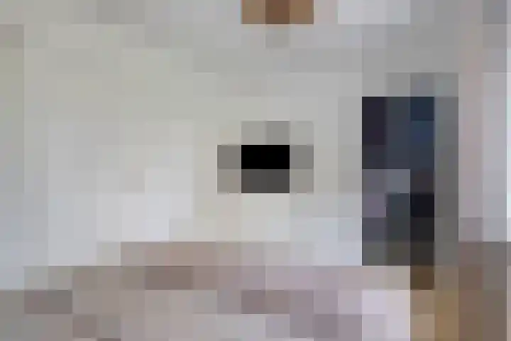 Burg. Panisstraat 15 Haaren thumbnail 25