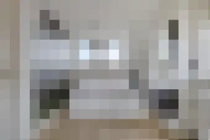 Burg. Panisstraat 15 Haaren thumbnail 34